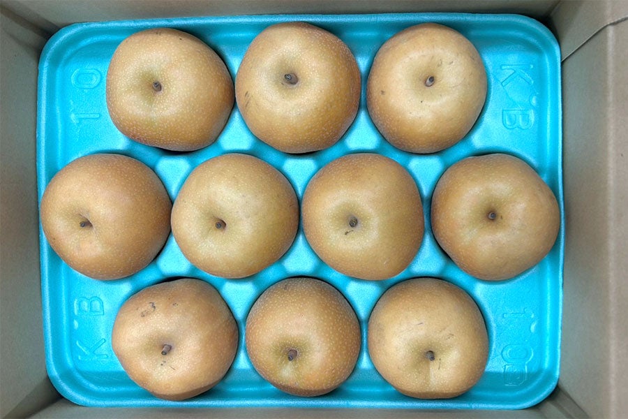 JA全農長野 冷蔵南水 約2.5kg(7-10玉)