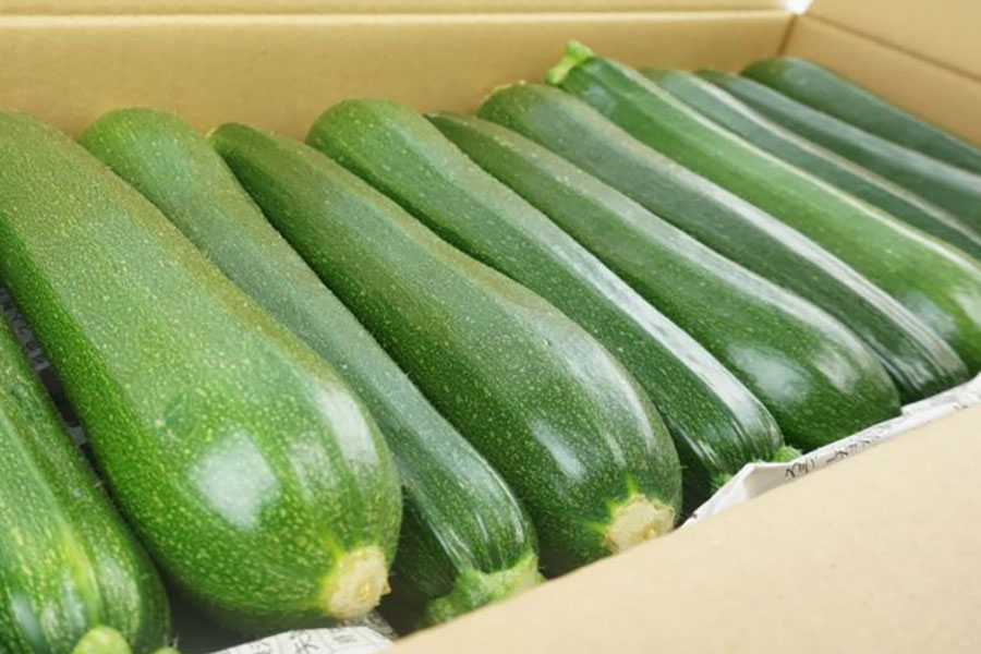 JAみなみ信州 ズッキーニ 約2kg(11-13本): 全農長野 僕らはおいしい