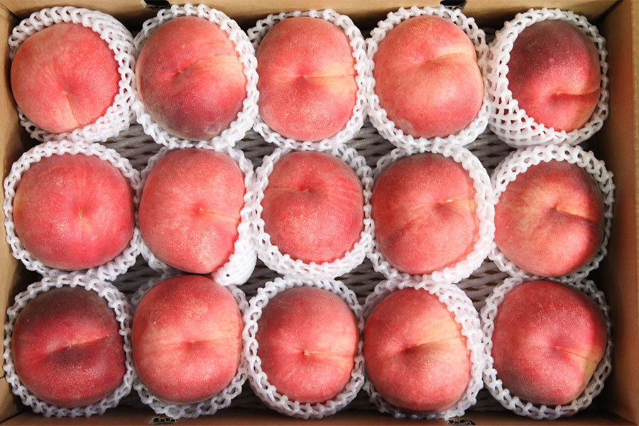 JAグリーン長野 輝々桃 中玉約5kg(16玉)×2箱 7月21日-8月10日頃発送