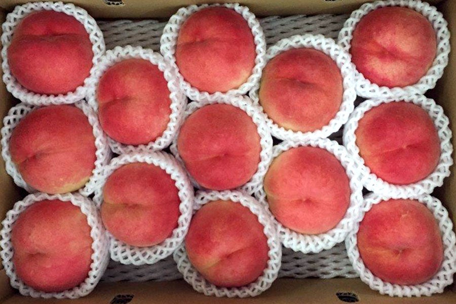 オンライン限定商品 もぎたて美桃紅5㎏