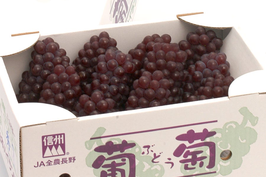 JA松本ハイランド ハウスデラウェア 2L 約2kg×2箱: 全農長野 僕らはおいしい応援団|【ＪＡタウン】産地直送 通販 お取り寄せ