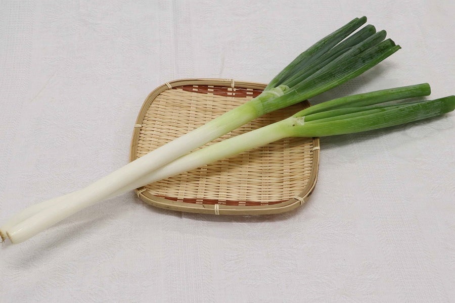 産地直送 通販 お取り寄せja松本ハイランド 白ねぎ L 約5kg 40本 業務用にも 全農長野 僕らはおいしい応援団 ｊａタウン