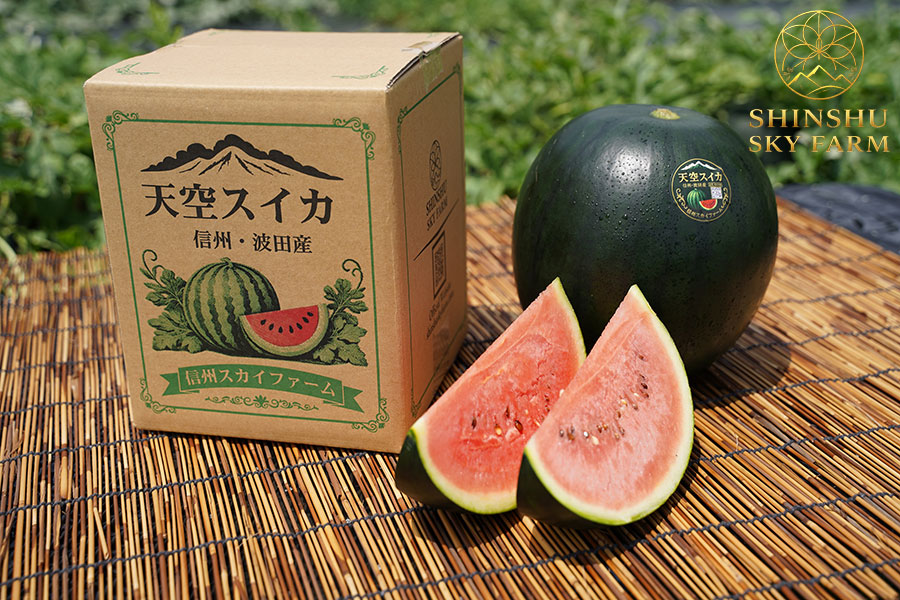 SHINSHU SKY FARM 小玉スイカ 1玉(3L:約2.0-2.5kg): 全農長野 僕らは