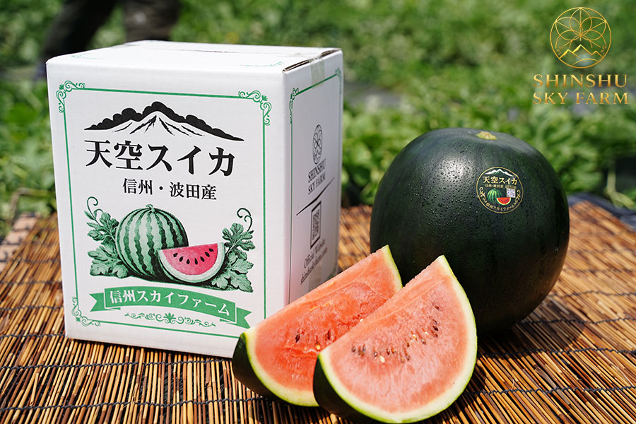 SHINSHU SKY FARM 小玉スイカ 1玉(5Lプレミアム:約3.9kg): 全農長野