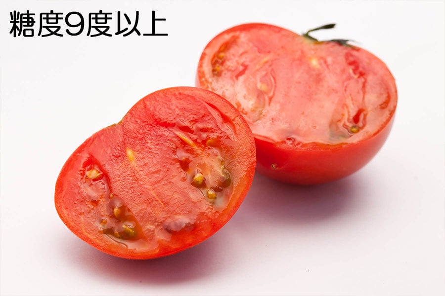 長崎県産「フルーツトマト」糖度８〜9.9度。約３キロ。ゴールドラッシュ３本