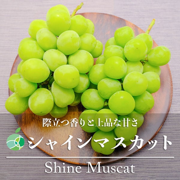 シャインマスカット 家庭用 1.2kg