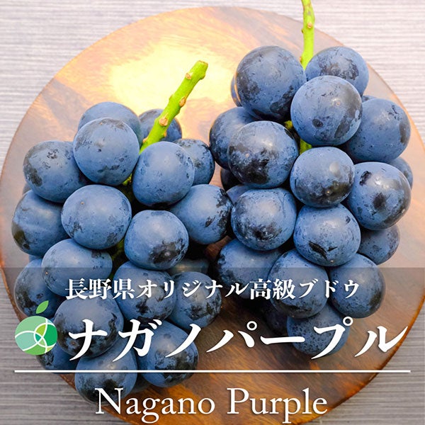 ファーム大澤屋 ナガノパープル 2房(約1kg): 全農長野 僕らはおいしい応援団|【ＪＡタウン】産地直送 通販 お取り寄せ