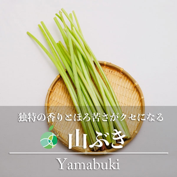 ファーム大澤屋 山ぶき 約300g: 全農長野 僕らはおいしい応援団|【JA