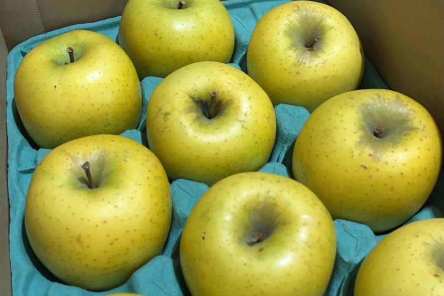 JA全農長野 シナノゴールド 約2.5kg(8-12玉)