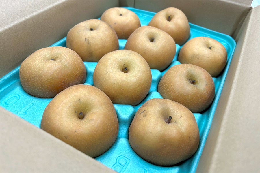 JA全農長野 冷蔵南水 約2.5kg(7-10玉)