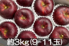 JAO[ Hf 3kg(9-11)yz924-1014