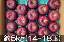 JAO[ Hf 5kg(14-18)yz924-1014