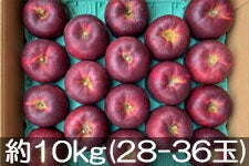 JAO[ Hf 10kg(28-36)yz924-1014