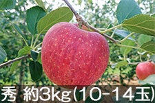 JAɓ Vimbv G 3kg(10-14)