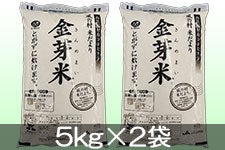JA上伊那 風の村米だより 金芽米 5kg×2袋(令和5年産) 4月上旬発送