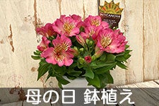 y̓zJAɓ MtgpAXgA 61 S30-57