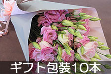 JA��ɓ� �g���R�M�L���E �M�t�g�10�{ 7��8��-20�����̔���
