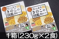 JA上伊那 たっぷりきのこの図鑑カレー 2箱×(230g×2食)