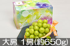 JA����s �V���C���}�X�J�b�g ��[ 1�[(��650g) 9��7���ȍ~����