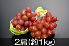JA����s �N�C�[�����[�W�� 2�[(��1kg) 9��20���ȍ~����