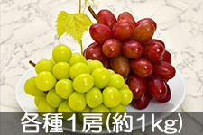 JA����s �V���C���}�X�J�b�g�E�N�C�[�����[�W�� �e1�[(��1kg) 9��20���ȍ~����
