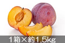 JAs Mz(v) 1×1.5kg(9-10) 85ȍ~