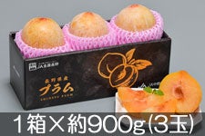 JAs Vimp[(v) 1×900g(3) 925ȍ~