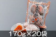 JAs ЂȊ`(`) 170g×20 129ȍ~