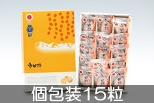 JAみなみ信州 市田柿 化粧箱 個包装15粒 12月18日以降発送