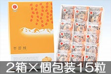 JAみなみ信州 市田柿 化粧箱 2箱×(個包装15粒) 12月15日以降発送