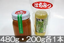 JAみなみ信州 ハチミツ 480g・200g各1本