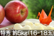 JA݂ȂݐMB T G 5kg(16-18) 829-95