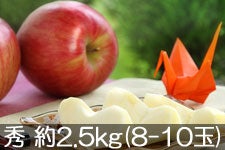 y2025p}CPz9{`oׁ@JA݂ȂݐMB T G 2.5kg(8-10)