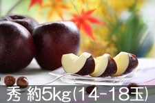 JA݂ȂݐMB Hf G 5kg(14-18) 106ȍ~l