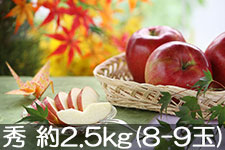 JA�݂ȂݐM�B �V�i�m�X�C�[�g �G ��2.5kg(8-9��) 10��13���ȍ~����
