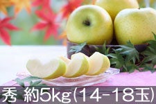 JA݂ȂݐMB VimS[h G 5kg(14-18) 1020ȍ~