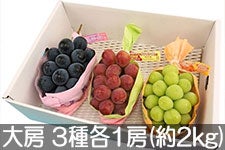 JA݂ȂݐMB ԂǂOo(iKmp[vENC[[WEVC}XJbg) [ 3e1[(2kg) 91ȍ~