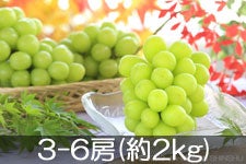 JA݂ȂݐMB VC}XJbg 3-6[(2kg) 910ȍ~