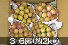 JA�݂ȂݐM�B �p�[���u���� 3-6�[(��2kg) 9��15���ȍ~����