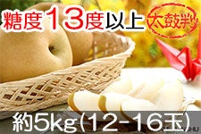 JA݂ȂݐMB K ۔ 5kg(12-16) 818-95