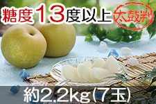 JA�݂ȂݐM�B �K�� ���۔� ��2.2kg(7��) 8��18��-9��2��������