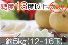 JA݂ȂݐMB L ۔ 5kg(12-16) 95ȍ~