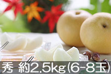 JA�݂ȂݐM�B �L�� �G ��2.5kg(6-8��) 9��5���ȍ~����