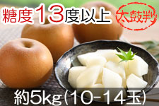 JA�݂ȂݐM�B �����Â� ���۔� ��5kg(10-14��) 9��18���ȍ~����
