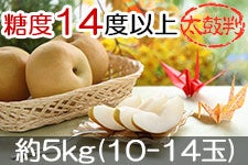 JA݂ȂݐMB 쐅 ۔ 5kg(10-14) 912ȍ~