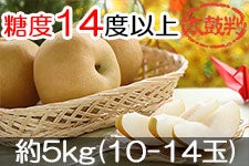 JA݂ȂݐMB ①쐅 ۔ 5kg(10-14) 1111ȍ~