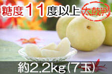 JA�݂ȂݐM�B ��\���I ���۔� ��2.2kg(7��) 9��7���ȍ~����