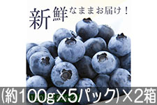 JA�݂ȂݐM�B �u���[�x���[ (��100g×5�p�b�N)×2�� 6��16���ȍ~����