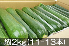 JA�݂ȂݐM�B �Y�b�L�[�j ��2kg(11-13�{)