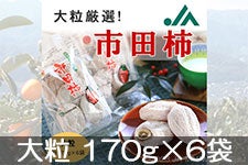 市田柿 干し柿 500g×7 袋  2Lサイズ 南信州産